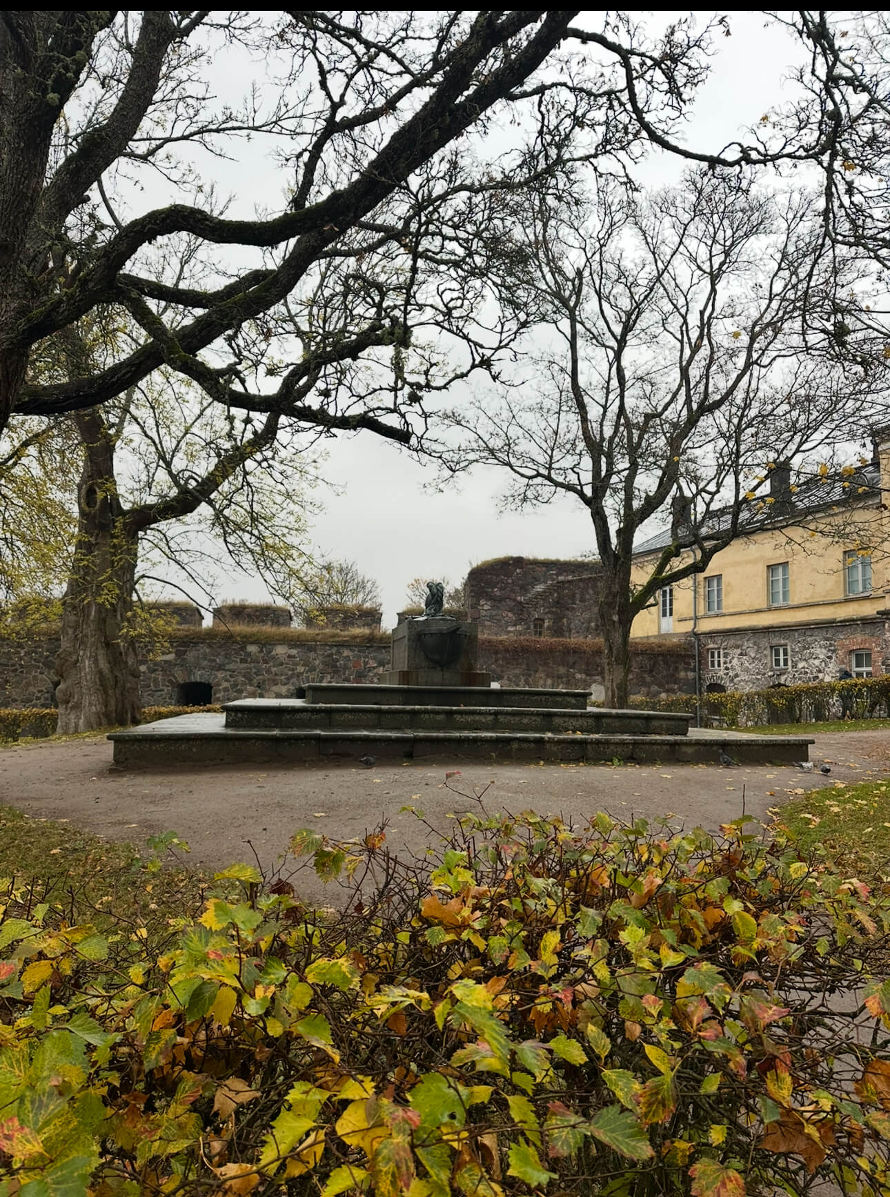 IMG 9856