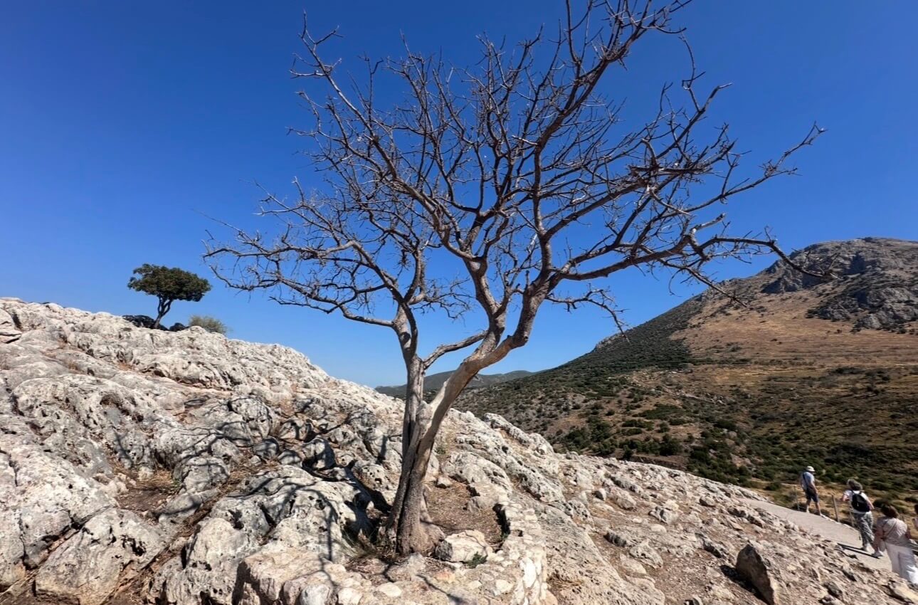 IMG 0940