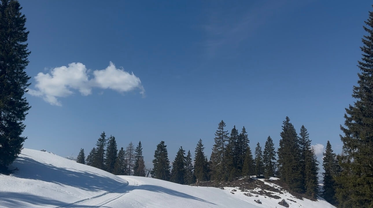 IMG 4543 2