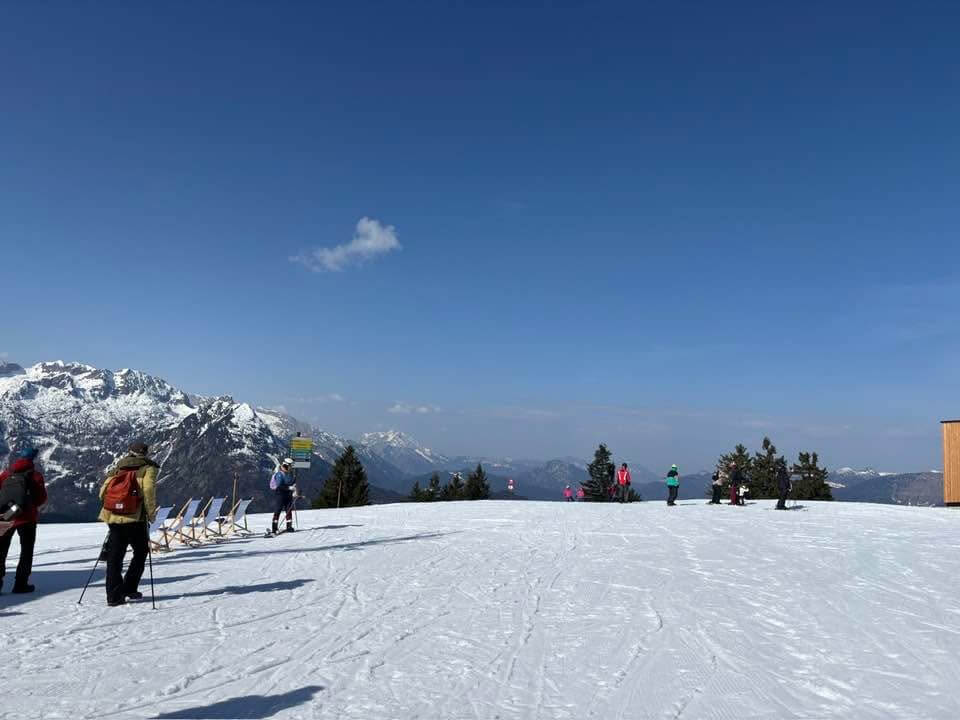 IMG 4548