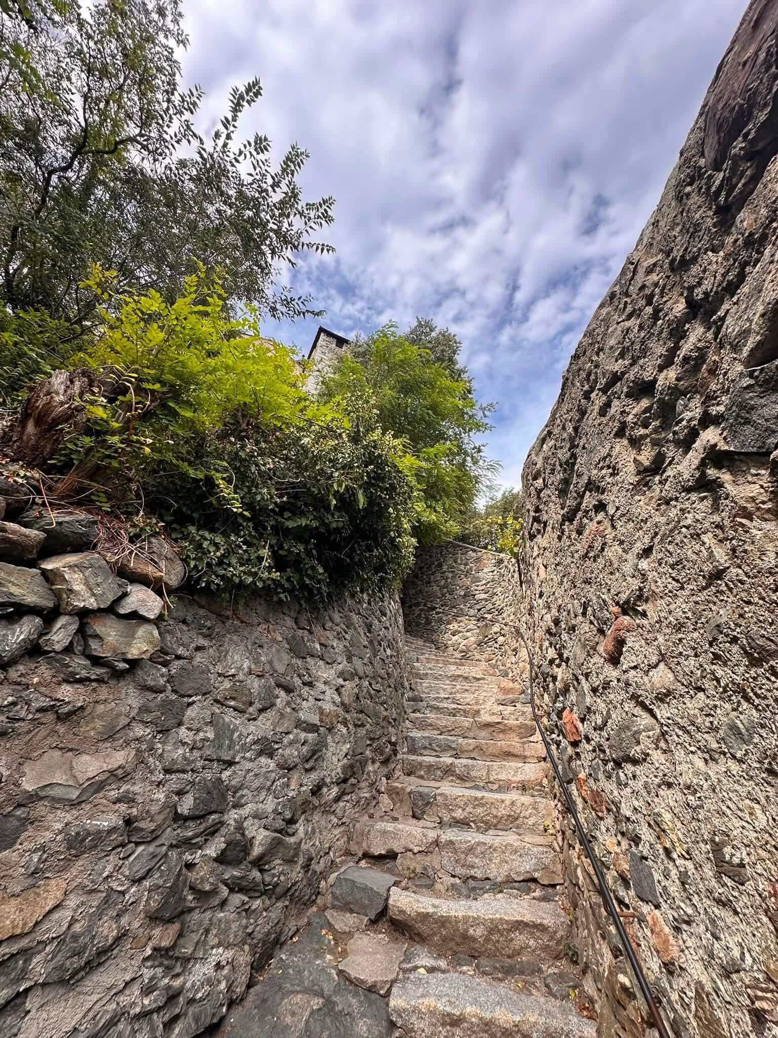 IMG 0393