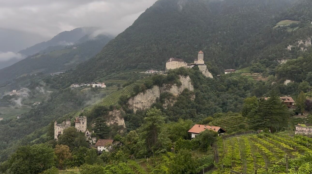 IMG 0453