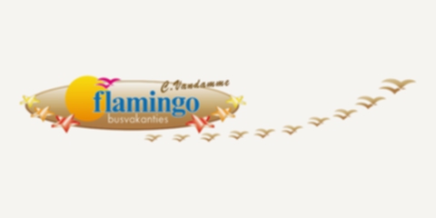 flamingo busreizen 480x240